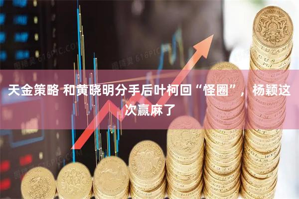 天金策略 和黄晓明分手后叶柯回“怪圈”，杨颖这次赢麻了