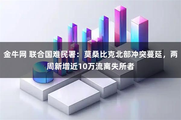 金牛网 联合国难民署：莫桑比克北部冲突蔓延，两周新增近10万流离失所者