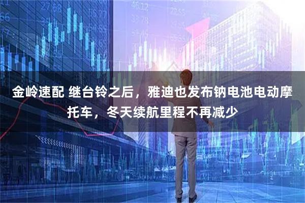 金岭速配 继台铃之后，雅迪也发布钠电池电动摩托车，冬天续航里程不再减少