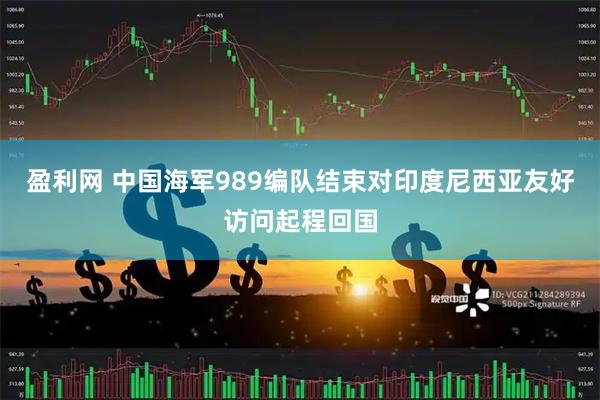 盈利网 中国海军989编队结束对印度尼西亚友好访问起程回国