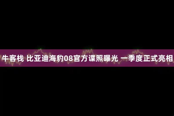 牛客栈 比亚迪海豹08官方谍照曝光 一季度正式亮相